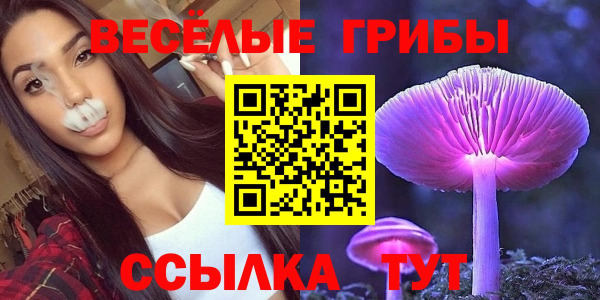 Симферополь  Галлюциногенные грибы MAGIC MUSHROOMS  Вход с VPN  Галлюциногенные грибы Psilocybe 