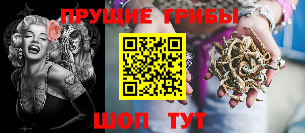 Псилоцибиновые грибы GOLDEN TEACHER Симферополь